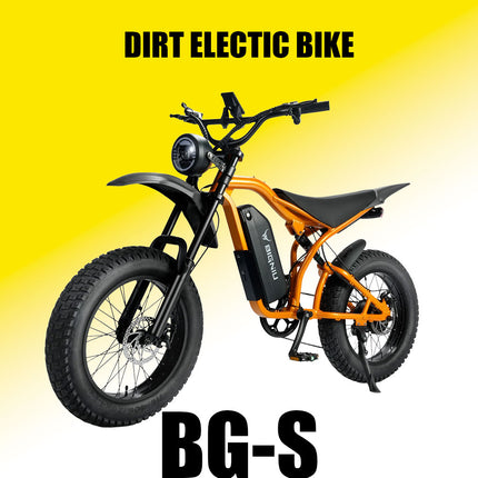 1200W Brushless Motor